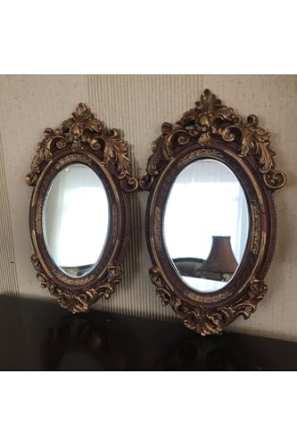 Modern Oval Wall Mirror Set of 2 Special Design Decorative