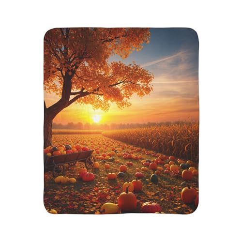 Cozy Fleece Sherpa Blanket - Fall Harvest Field with Pumpkins