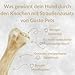 GUSTO PETS Kauknochen für Hund mit Strauß 12 cm - 100% Natürlicher Hundeknochen, leicht verdaulicher Protein-Snack, Ergänzungsfuttermittel für Hunde, ohne Zusatzstoffe, Hergestellt in der EU