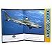 National Geographic Kids - Sharks - I'm Ready to Read Interactive Read-Along Sound Book - Great for Early Readers and Animal Lovers - PI Kids