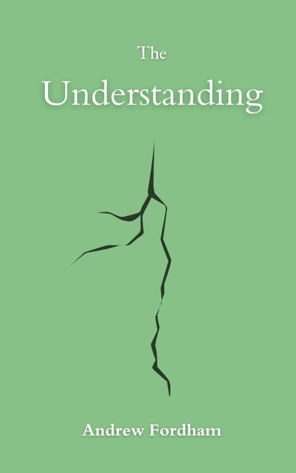The Understanding: Contemporary Literary Fiction About Family, Identity and Endurance (The Narrowing)