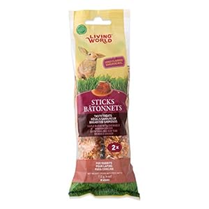 Living World Rabbit Honey Treat Sticks, 4-Ounce