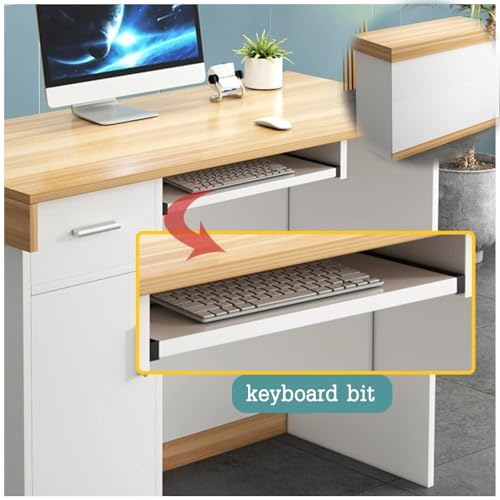 ModernDesk Obsługa kasy fiskalnej do sklepów, 120 cm, szara lada, do domu, biura, salonów piękności, do kasy detalicznej, stylowe meble