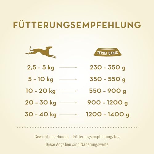 Terra Canis Kalb, Hirse, Gurke, gelbe Melone und Basilikum - Classic Nassfutter, 6x400g I Premium Hundefutter in 100% Lebensmittelqualität Aller Rohstoffe I Reichhaltig & gesund, glutenfrei