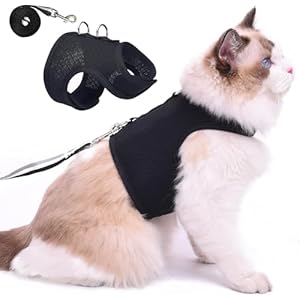 Cat Harness and Leash for Walking Escape Proof Breathable Mesh Fabric, Solid Black, Extra Large, Adjustable Cat Walking Jackets, Padded Stylish Cat Vest