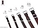 Schnüffelfreunde Halsband für Hunde aus Leder, Hundehalsband für den großen, mittleren und kleinen Hund, Lederhalsband gepolstert, robust (M - 28-36cm, Braun)