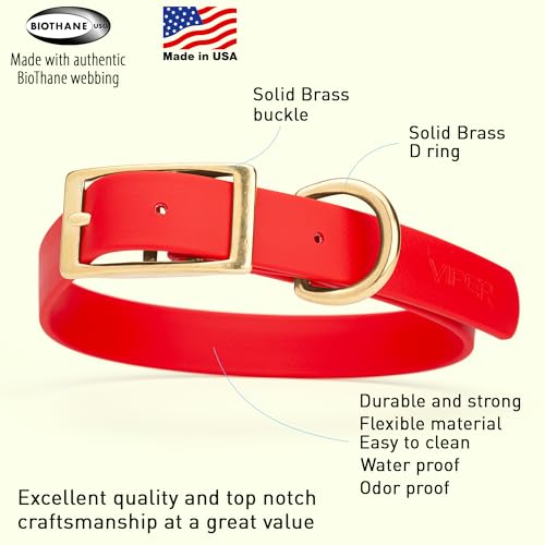 Image of Viper Biothane Heavy Duty Waterproof Dog Collar Strong Coated Nylon Webbing w /Solid Brass Hardware Odor-Proof Easy to Clean High Performance Fits Small Medium or Large Dogs, Cherry Red
