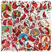 50 Pcs Red Bird Stickers for Kids Teens Adults Boys Girls Gift,Cartoon Birds Decals Pack for Laptop,Skateboard,Luggage,Car,Bike,Cup,Computer,Water Bottle Decor,Vinyl Waterproof Stickers โ image 1