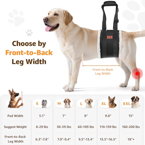 Adjustable Dog Lift Harness Dog Sling for Large Dogs Hind Leg Support Soft Lift Support and Rehab Harness for Weak Rear Legs, Helps Senior, Injured, Disabled and After ACL Surgery Dogs Large - Image 4
