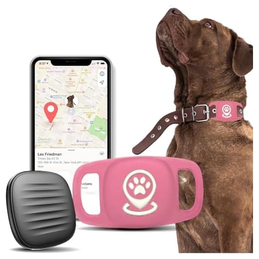 Hunde Tracker mit Find My Kompatibilität