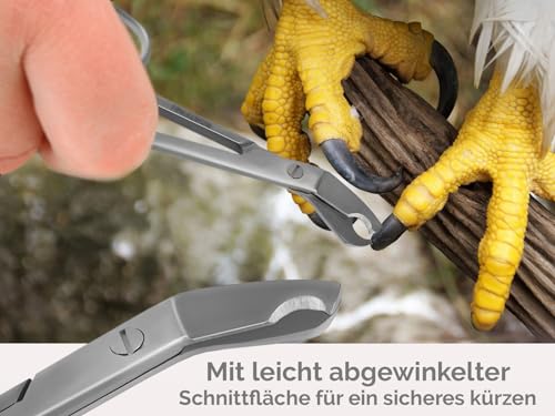 Vogel Krallenschere Krallenzange abgewinkelter Krallenschneider 9 cm - Krallen kürzen von Papageien Sittiche Wellensittiche Kleintiere - Rostfreier Edelstahl - Markenqualität vom Fachhandel