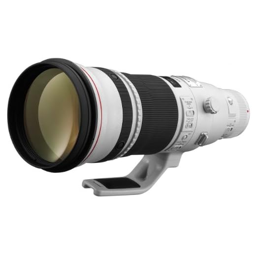Canon EF 500mm f/4L II Telephoto Lens