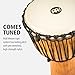 Meinl Percussion Djembe Drum African Hand Drum Instrument for Adults — NOT MADE IN CHINA — Mahogany Wood / Natural Head 13