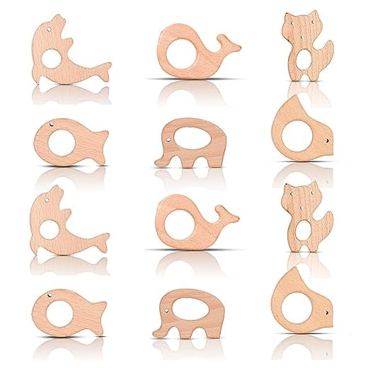 IoF 12 Pcs Teething Toys for Babies, Natural Wooden Teething Rings Baby Teether Chew Toys for Infant Toddler Teethers Crackers Animal Set Pain Relief Handmade Hanging Ring Set Toy