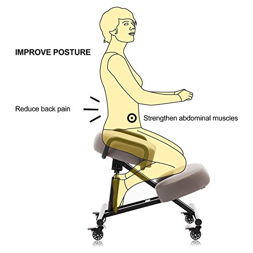 DR.LOMILOMI Ergonomic Kneeling Chair 512-AKONI, Adjustable Stool for Home and Office, Improve Your Posture, Thick Comfortable Cushions, Locking Wheels (Standard, Black)