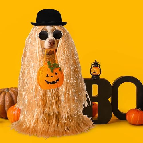 JcHrmers 4 Pzs Disfraz Halloween Perro miniatura 3