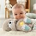 Imagen de Fisher-Price Nutria Hora de Dormir