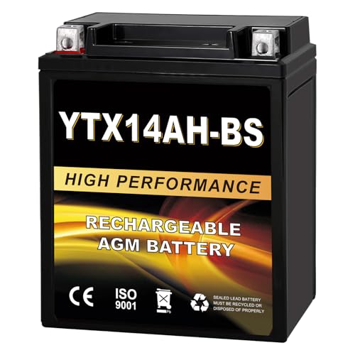 Daakmax YTX14AH-BS 12V 12Ah AGM Sealed Motorcycle Battery Maintenance-Free Compatible with Polaris Sportsman 570 Trail Blazer 250 Ranger 400 500 Suzuki King Quad 300 QuadRunner 250