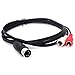 Xhwykzz Din 5 Pin to RCA Cable 5-Pin Din Male Plug to 2-RCA Male Audio Adapter Cable for Electrophonic Bang & Olufsen, Naim, Quad Stereo Systems 5 Feet