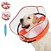 Avont 2-in-1 Inflatable Dog Cone Collar with Transparent Shield, Soft Donut E-Collar Alternative After Surgery to Stop Licking, Recovery Cone for Medium Large Dogs - Swimring (M+)