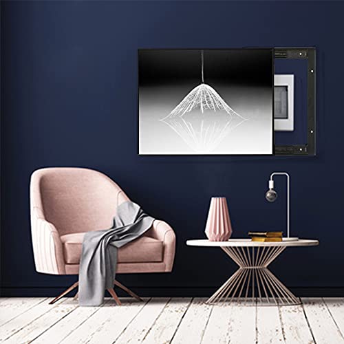Couvercle de compteur électrique moderne pour cacher les peintures - 4