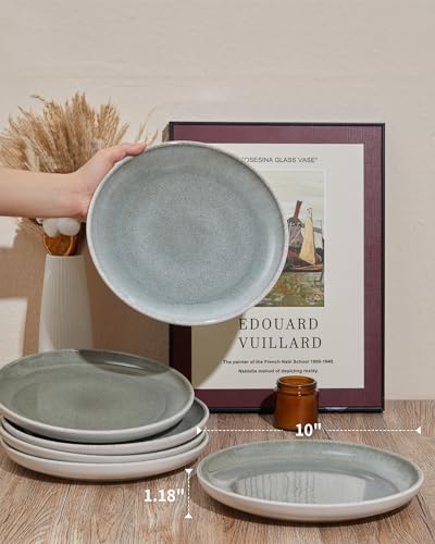 Image of Pokini Ceramic Dinner Plates Set of 6, 10inch Salad, Dessert Plates Dishes | Reactive Glaze Stoneware Dish Set, Dinner Plate for Dessert, Salad, Appetizer, Microwave & Dishwasher Safe, Scratch Resistant