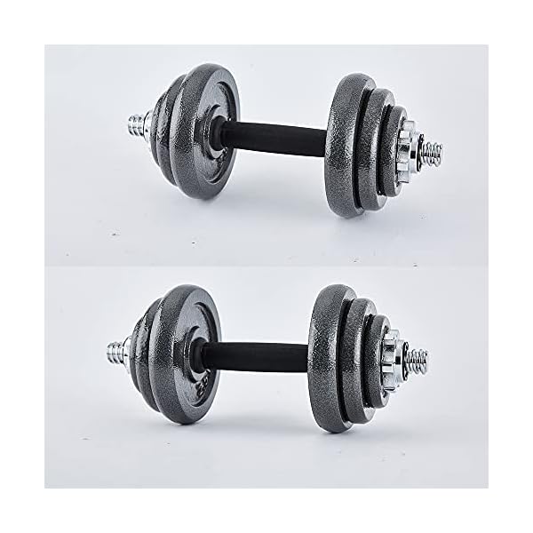 Adjustable Dumbbells 44 lbs Home Weight Lifting Professional Dumbbells for Body Workout Home Gym Fitness with Carry Case (Grey, 44LB/20KG)