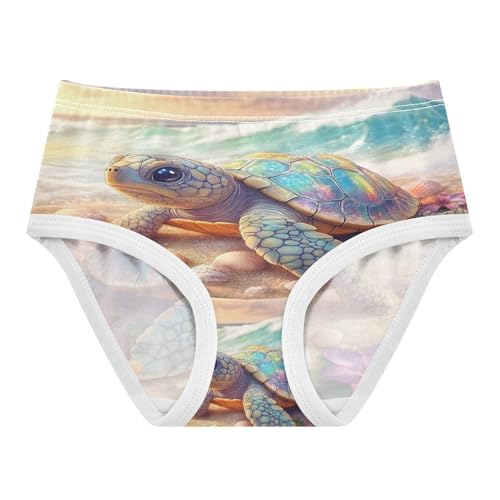Beach Sea Turtles Starfish Shell Toddler Girls's Underwear 2T 202b8913 - Main Image