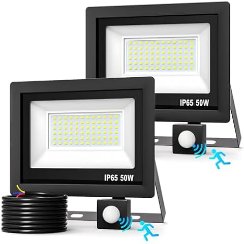 Realky Projecteur LED 50W avec Détecteur Cover