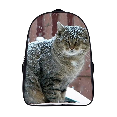 Cartable unisexe Cat Teen pour enfants et adolescents sac à dos multi-poches 40x28x16cm