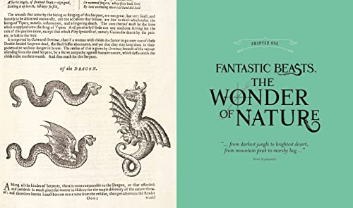Fantastic Beasts: The Wonder of Nature: Amazing Animals and the Magical Creatures of Harry Potter an