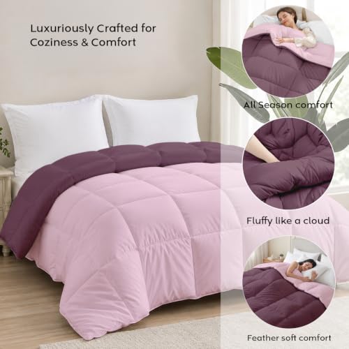 Image of AYKA Reversible Comforter 220 GSM Microfiber Reversible AC Comforter /Blanket for Winter /Quilt /Dohar /Duvets for King Size Blanket /Comforter Double Bed (Cameo & Plum, 60 * 90 inch)