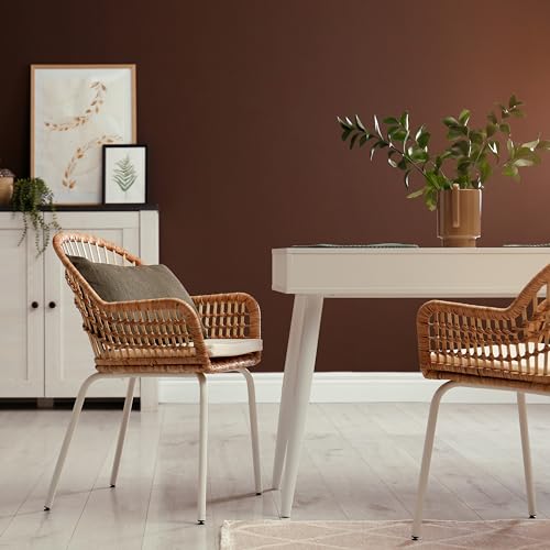 Vintro | Luxury Matt Emulsion | Brown | Smooth Chalky Finish | Multi Surface Paint | for Walls, Ceilings, Wood and Metal | 1L (Dark Brown - Chocolate) - Image 2