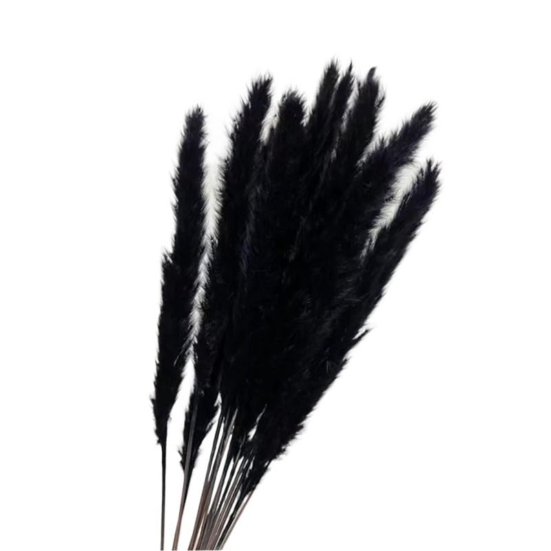Ramo de plumero pampas negro 5 piezas miniatura 3