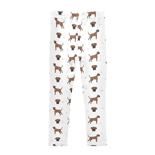 Boxer Dog Pattern Girls Leggings Dance Running Workout Yoga Pants2