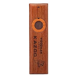 Premium houten Kazoo Makkelijk te leren prachtig instrument voor kinderen en mensen Hum Lied met doos,ander
