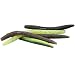 RUNCL Anchor Box - Wacky Worms Senko Style, Soft Stick Baits, Soft Stick Worms 4in (Pack of 30)