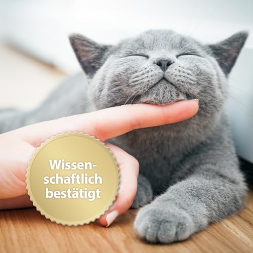 Felisept Home Comfort Beruhigungshalsband - Beruhigungsmittel für Katzen - Katzen Beruhigungsmittel mit natürlicher Katzenminze & ohne Pheromone Katzen