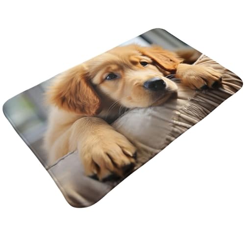 KKLWEGU Lazy Dog �q�� �t�����l�� �h�A�}�b�g 20 X 31.5�C���` ����~�� �\�t�g �E�F���J�� �h�A�}�b�g ����\ �z���� �o�X���O �t���A�}�b�g ����/���O���O �X�^�C���b�V�� �L�b�`�� �Q�� �����̑����p