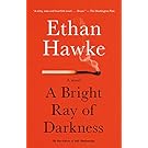 A Bright Ray of Darkness: A novel