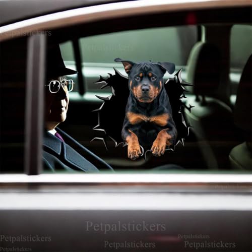 Image of Vinyl Dog Stickers - Car Decals for Women, Dog Lover Gift (Rottweiler Decals)