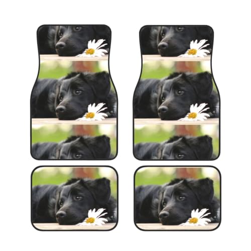 Alfombrillas de Labrador Negro antideslizantes de neopreno de alta calidad para coche