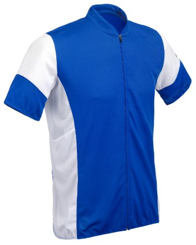 Schwinn Men's Pro Cycling Jersey - Adjustable Zipper Cycling Shirt with Pockets and Visibility Stripes - Athletic Fit Bike Jersey for Men (Blue, Large)