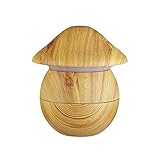 [Estándar del producto]: un humidificador, un cable de datos, un manual en inglés.
