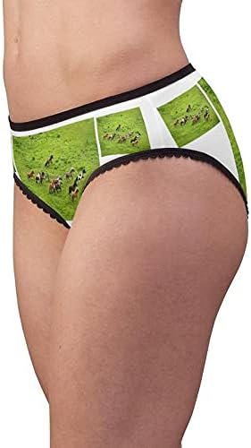 Herd Of Wild Pony Horses Panties, Herd Of Wild Pony Horses Underwear, Briefs, Cotton Briefs, Panties For Women