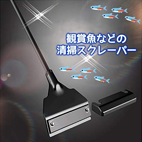 茶ゴケを水槽から除去したい 原因と対策を解説 Aquajp