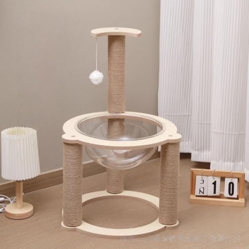 MORLU ؐLbg^[  ^Lp ی^x[X I  X ē~p ȃXy[X v W]t {E TCU ȃ[v XgX B 芴 ^  (3wwvNC~Ot[)