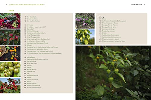 555 Obstsorten für den Permakulturgarten und -balkon: Planen. Auswählen. Ernten. Genießen. Selbstversorgung mit Bio-Obst aus dem Hausgarten und naturnahes Gärtnern