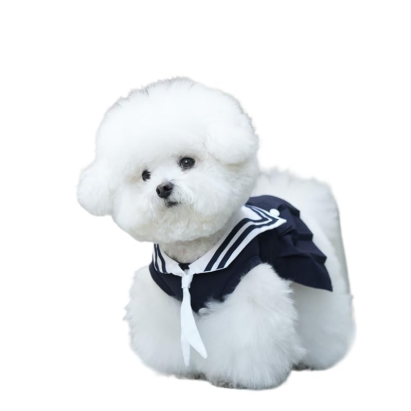 Vestido Princesa para Perros Pequeños Azul Talla X-Large