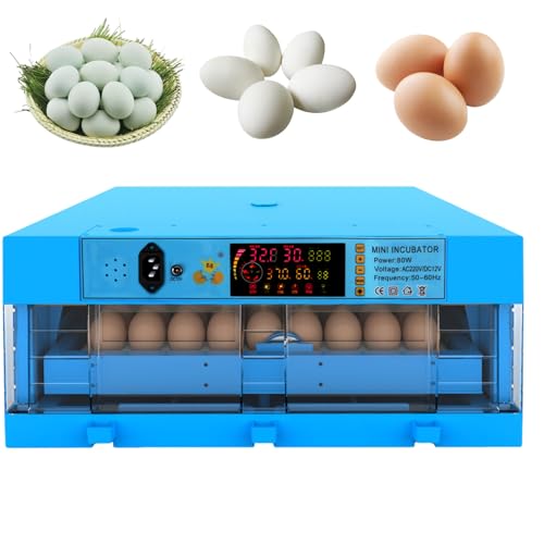 ZephyrGlow Incubadora Automática de Huevos con Pantalla Digital, Giro Automático de Huevos y Control de Temperatura - Incubadora para Incubar Gallinas, Patos, Codornices,64Egg
